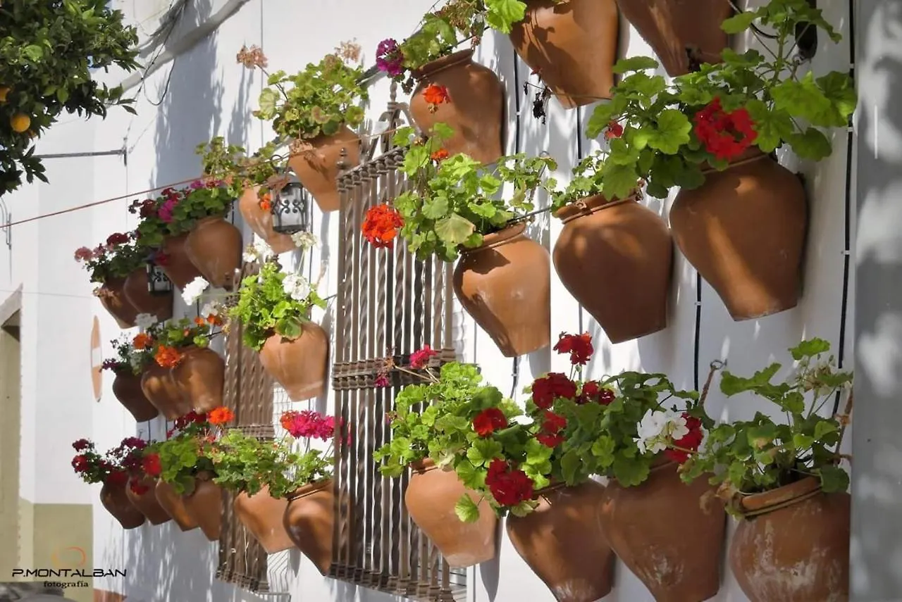Apartment La Chambre Bleue Chipiona Spain